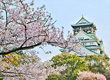 OB电竞app下载-F1日本美国站受疫情影响小 巴西站获得喘息之机